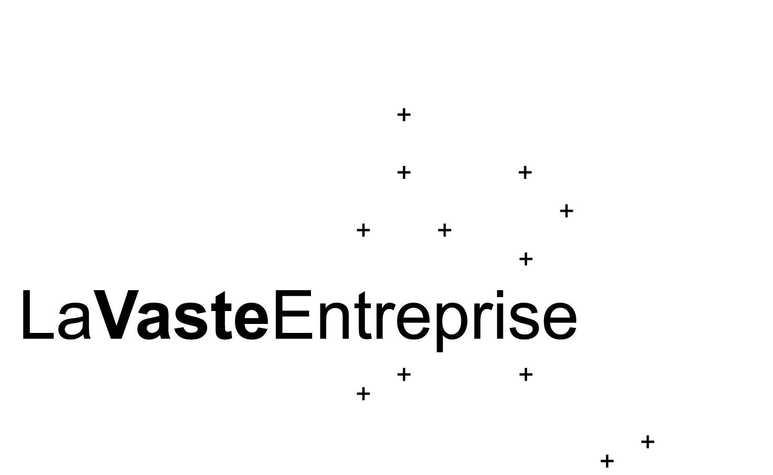 Logo-LaVasteEntreprise